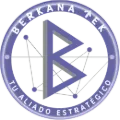Berkana Cybersec